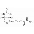 anti-HYAL1 antibody (Hyaluronidase-1) (N-Term)