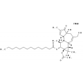 anti-HYAL1 antibody (Hyaluronidase-1) (N-Term)
