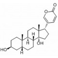 anti-HYAL1 antibody (Hyaluronidase-1) (N-Term)