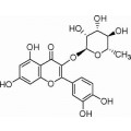 anti-HYAL1 antibody (Hyaluronidase-1) (N-Term)