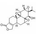 anti-HYAL1 antibody (Hyaluronidase-1) (N-Term)
