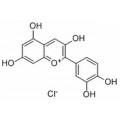 anti-HYAL1 antibody (Hyaluronidase-1) (N-Term)