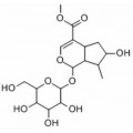 anti-HYAL1 antibody (Hyaluronidase-1) (N-Term)
