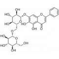 anti-HYAL1 antibody (Hyaluronidase-1) (N-Term)