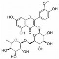 anti-HYAL1 antibody (Hyaluronidase-1) (N-Term)