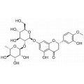 anti-HYAL1 antibody (Hyaluronidase-1) (N-Term)
