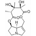 anti-HYAL1 antibody (Hyaluronidase-1) (N-Term)