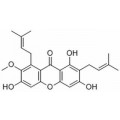 anti-HYAL1 antibody (Hyaluronidase-1) (N-Term)