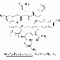 anti-HYAL1 antibody (Hyaluronidase-1) (N-Term)