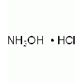 anti-HYAL1 antibody (Hyaluronidase-1) (N-Term)