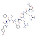 anti-HYAL1 antibody (Hyaluronidase-1) (N-Term)