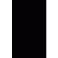 anti-HYAL1 antibody (Hyaluronidase-1) (N-Term)