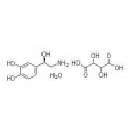 anti-HYAL1 antibody (Hyaluronidase-1) (N-Term)