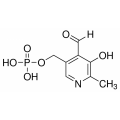 anti-HYAL1 antibody (Hyaluronidase-1) (N-Term)
