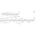anti-HYAL1 antibody (Hyaluronidase-1) (N-Term)