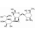 anti-HYAL1 antibody (Hyaluronidase-1) (N-Term)