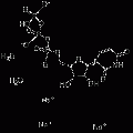 anti-HYAL1 antibody (Hyaluronidase-1) (N-Term)