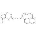anti-HYAL1 antibody (Hyaluronidase-1) (N-Term)