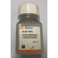 anti-HYAL1 antibody (Hyaluronidase-1) (N-Term)