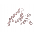 anti-HYAL1 antibody (Hyaluronidase-1) (N-Term)