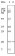 CD19 Primary Antibody MP20028 [M2E2B6B10]