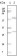 ER-alpha Primary Antibody MP20047 [M2B7]
