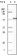 CK1 Primary Antibody MP20088 [M3C10F7]