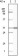 BLK Primary Antibody MP20090 [M9D10B7H6]