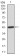 ILK Primary Antibody MP30415 [M3A9]