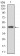 CLGN Primary Antibody  MP30523 [M1C8B6]