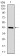 PPP1CB Primary Antibody MP30661 [M8A7C7]