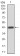 ERBB4 Primary Antibody MP30755 [M5G6B4]