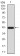 FOXP3 Primary Antibody MP30914 [M4F12A2]