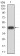 RAD52 Primary Antibody MP30925 [M3E11B2E8C11]
