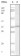 KSHV ORF62 Primary Antibody MP20017 [M5B7B6]