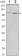 FAK Primary Antibody MP20431 [M10H7]