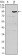 TNFRSF11B Primary Antibody MP30136 [M5A11]