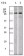 EphA1 Primary Antibody MP20053 [M5D2]