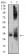 CD322 Primary Antibody MP31591 [M6G1A11]