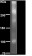 MDF8390 MUC2 rabbit polyclonal Primary Antibody 