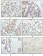 RSK1 Primary Antibody MP20136 [M10B1D7A9]