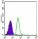 CDH5 Primary Antibody MP30447P [M3D5C7]