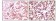 ER-alpha Primary Antibody MP20047 [M2B7]