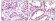 LSD1/AOF2 Primary Antibody MP20055 [M1B2E5]