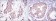 HSP60 Primary Antibody MP30193 [M3G8]