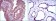 MTHFR Primary Antibody MP30204 [M5D3]