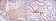 PODXL Primary Antibody MP30206 [M5F5]