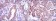 c-Rel Primary Antibody MP30223 [M1E7]