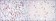 FYN Primary Antibody MP30229 [M2A10]