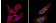 Anti-BACE2 Antibody MX-C355624